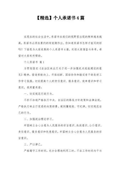 【精选】个人承诺书4篇