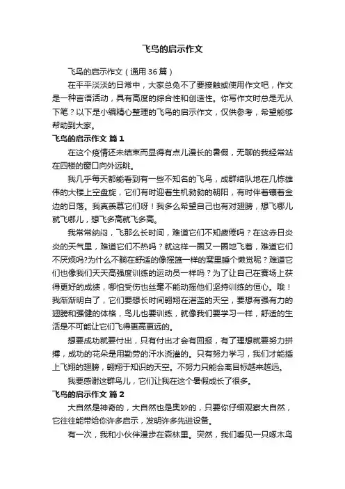 飞鸟的启示作文（通用36篇）
