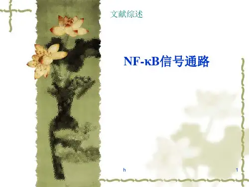 NF-κB信号通路