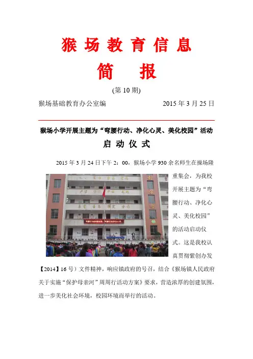 弯腰行动简报