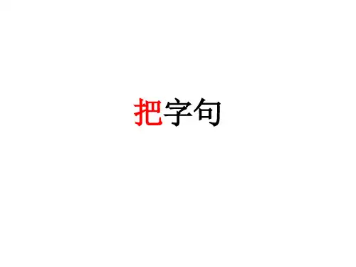 《被字句把字句》PPT课件