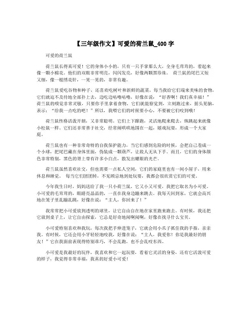 【三年级作文】可爱的荷兰鼠_400字