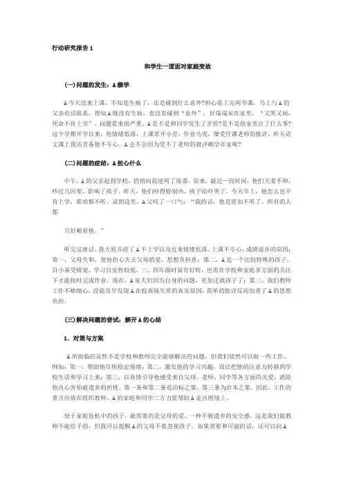 行动研究报告1
