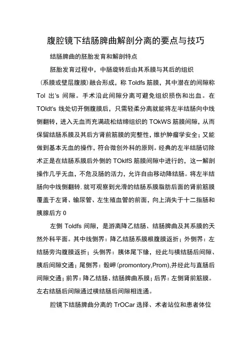 腹腔镜下结肠脾曲解剖分离的要点与技巧