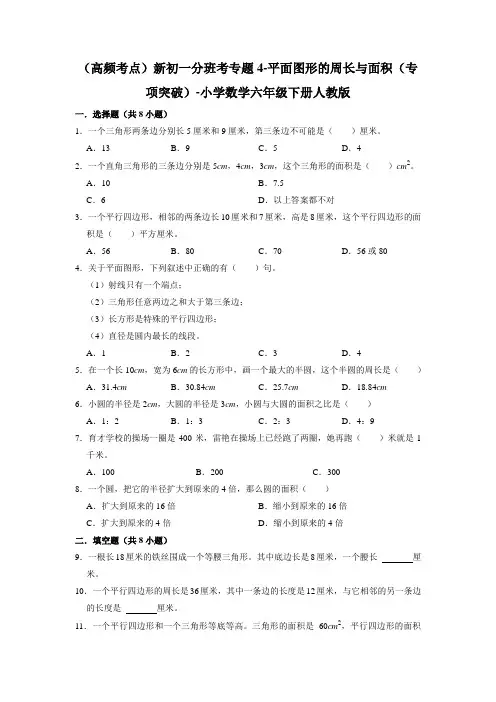 (高频考点)新初一分班考专题4-平面图形的周长与面积(专项突破)-小学数学六年级下册人教版