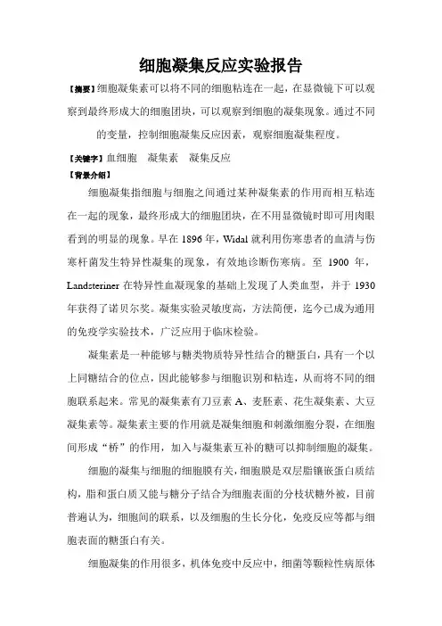 细胞凝集试验报告