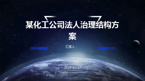 某化工公司法人治理结构方案