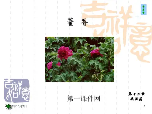 中药学课件-藿香PPT课件