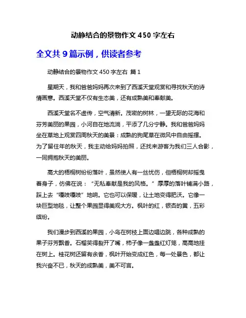 动静结合的景物作文450字左右
