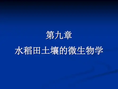 (完整版)第九章水稻田土壤的微生物学