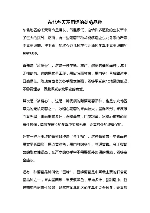 东北冬天不用埋的葡萄品种