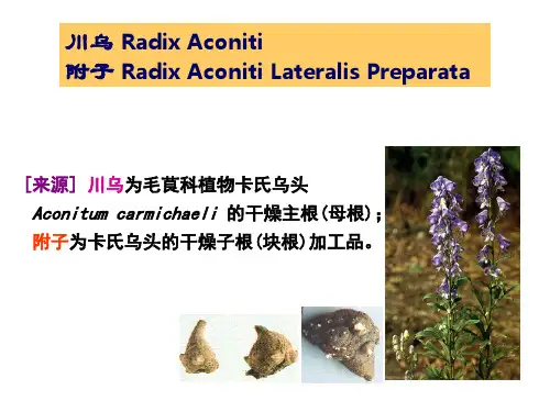 川乌与附子