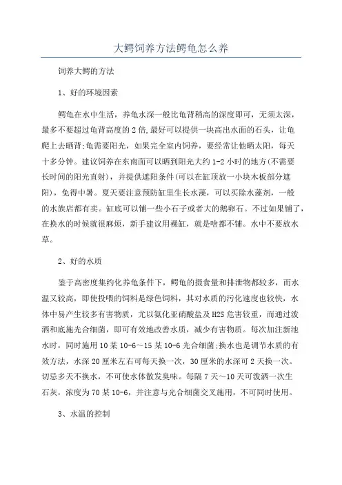 大鳄饲养方法鳄龟怎么养