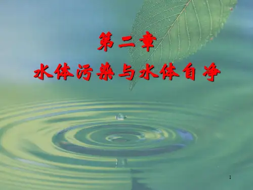 水体自净PPT精选课件