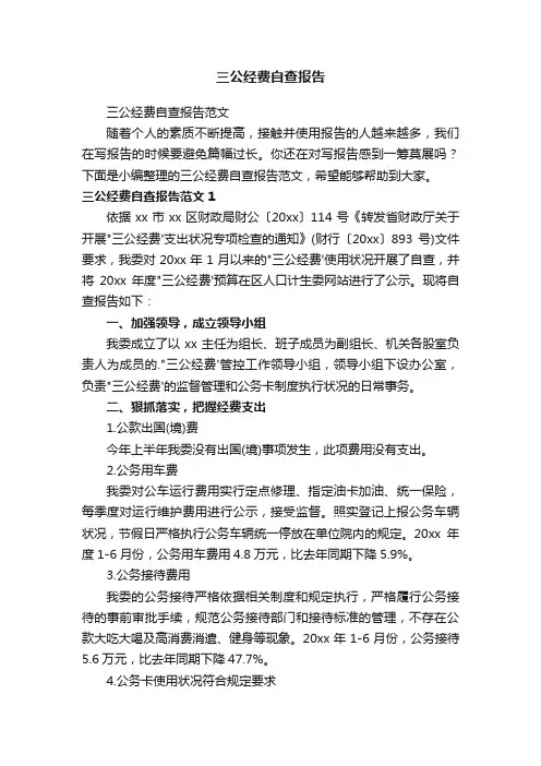 三公经费自查报告范文