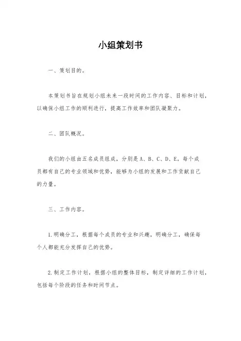 小组策划书