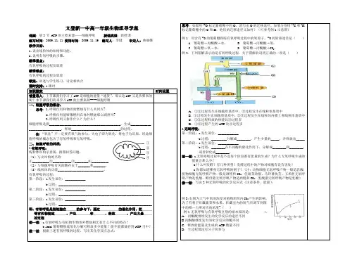 5.3.1呼吸作用(1)