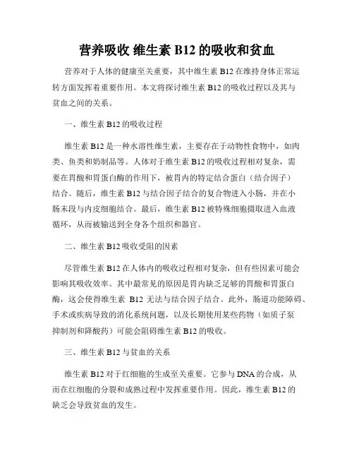 营养吸收 维生素B12的吸收和贫血
