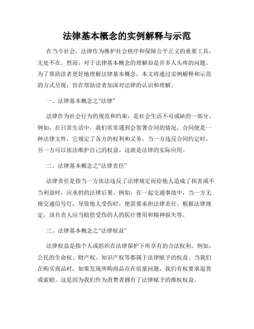 法律基本概念的实例解释与示范