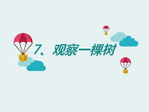 《观察一棵树》寻访校园里的动植物PPT课件4