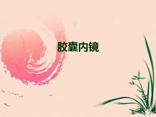 胶囊内镜PPT课件