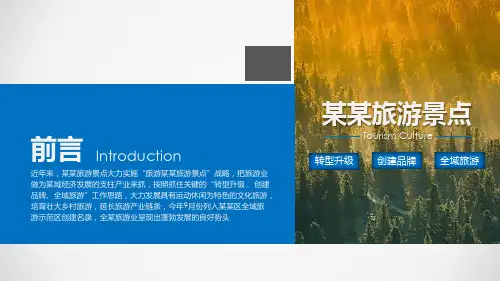 培育旅游新业态推进旅游示范区创建教学PPT课件