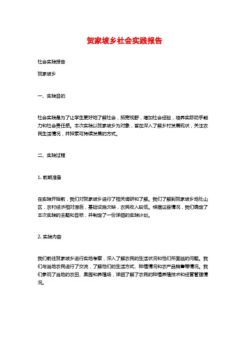 贺家坡乡社会实践报告