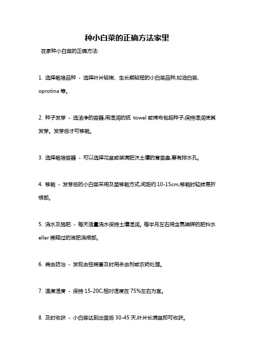种小白菜的正确方法家里