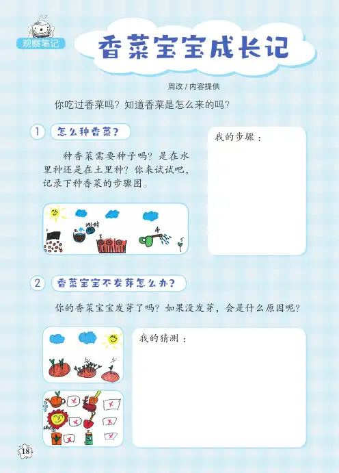 香菜宝宝成长记