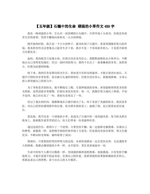 【五年级】石缝中的生命 顽强的小草作文450字