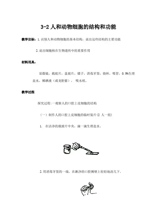 生物苏教版七年级上3-2《人和动物细胞的结构和功能》教案