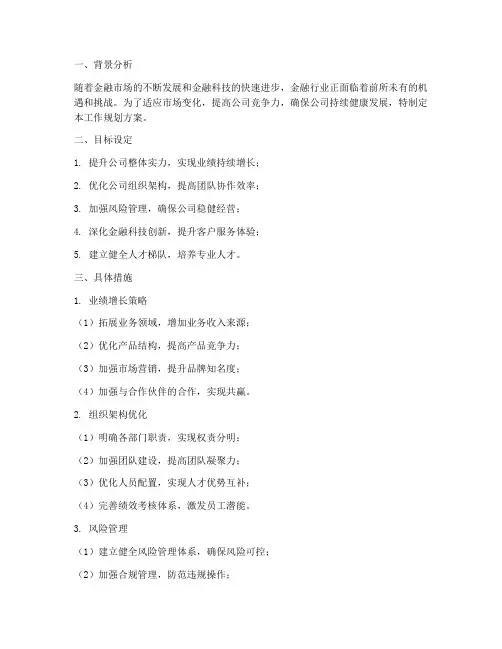 金融公司工作规划方案