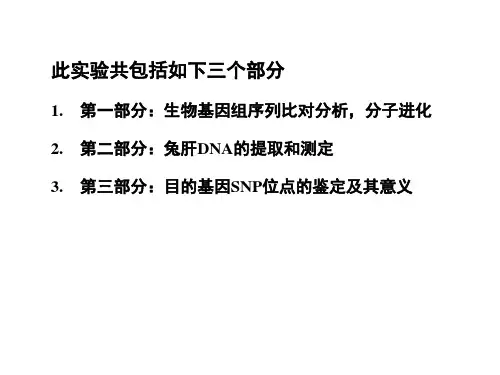 生物基因组序列比对分析