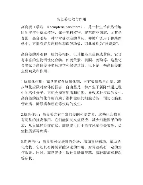 高良姜功效与作用