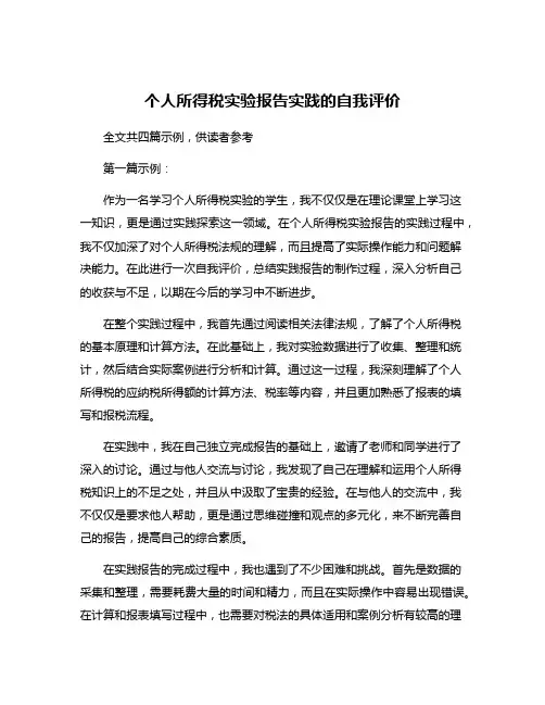 个人所得税实验报告实践的自我评价
