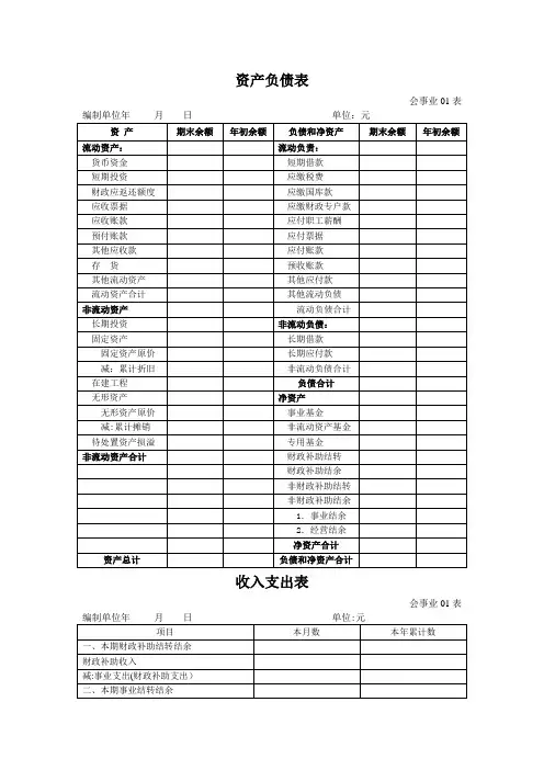 事业单位会计报表格式