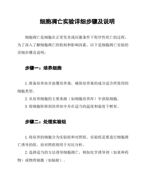 细胞凋亡实验详细步骤及说明