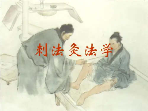 中国医学 针灸推拿 刺法灸法学