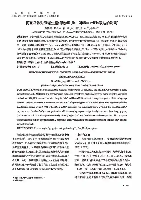何首乌饮对衰老生精细胞p53、Bcl-2和Bax mRNA表达的影响