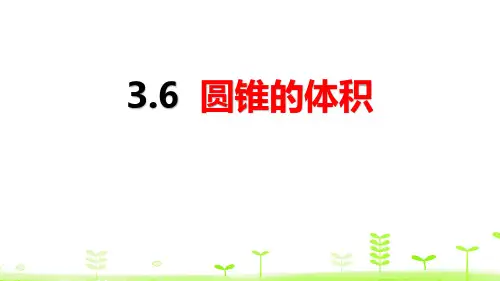 《圆锥的体积》圆柱与圆锥PPT