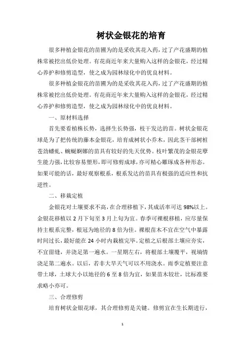 树状金银花的培育