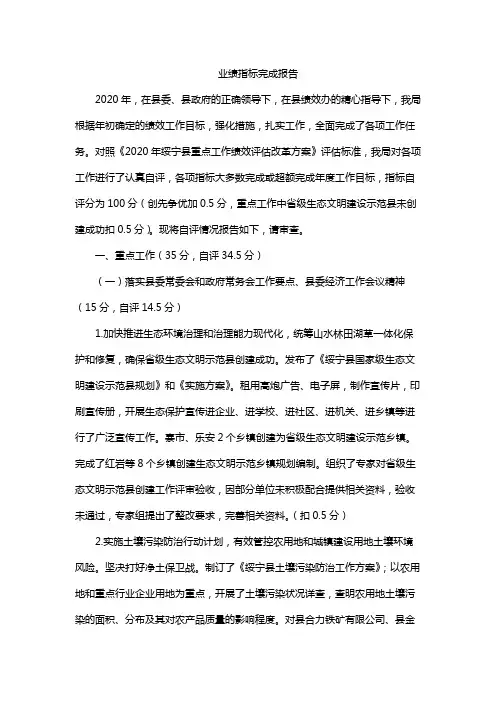 业绩指标完成报告