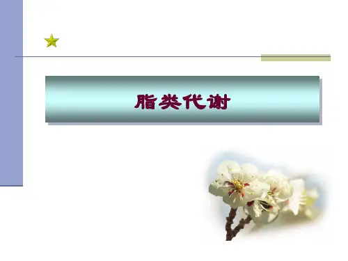 脂类代谢ppt医学课件