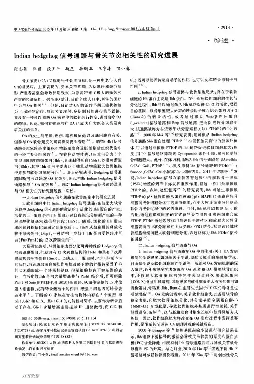 Indian+hedgehog信号通路与骨关节炎相关性的研究进展
