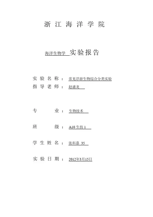 海洋生物学实验——节肢动物与软体动物的观察要点