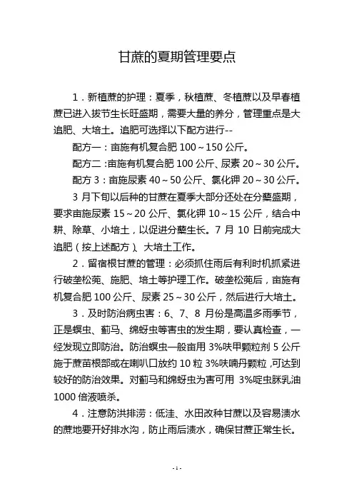 甘蔗的夏期管理要点