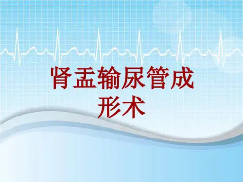 手术讲解模板：肾盂输尿管成形术