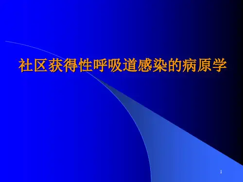 呼吸道感染常见病原菌ppt课件