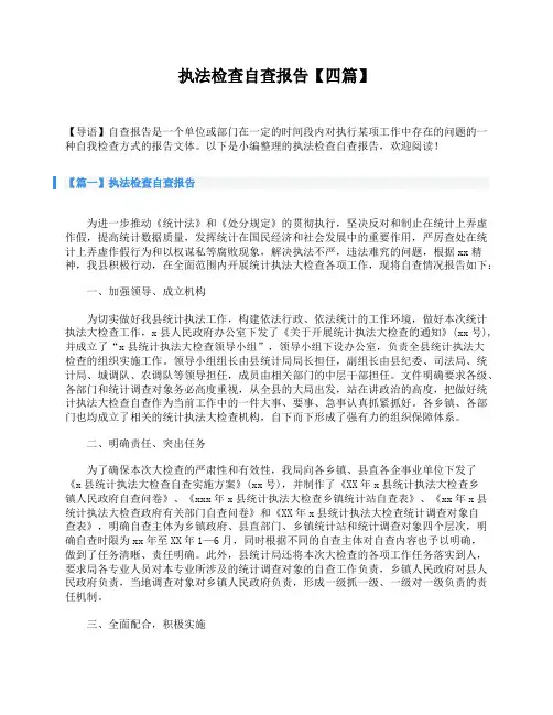 执法检查自查报告【四篇】
