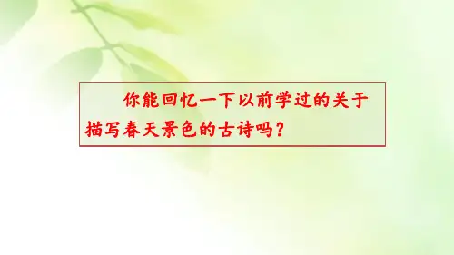 《江南春》课件(共20张PPT)